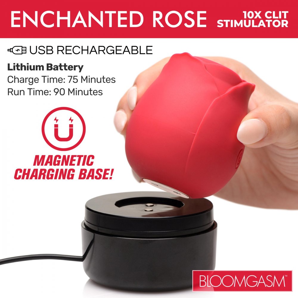 Enchanted Rose