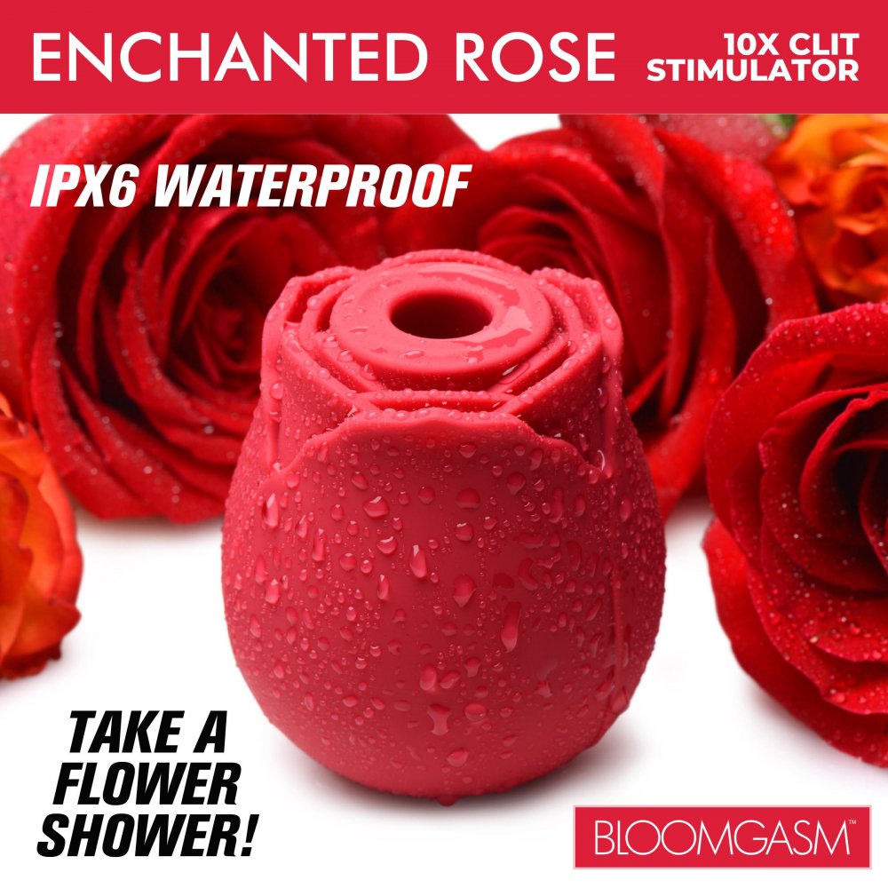 Enchanted Rose
