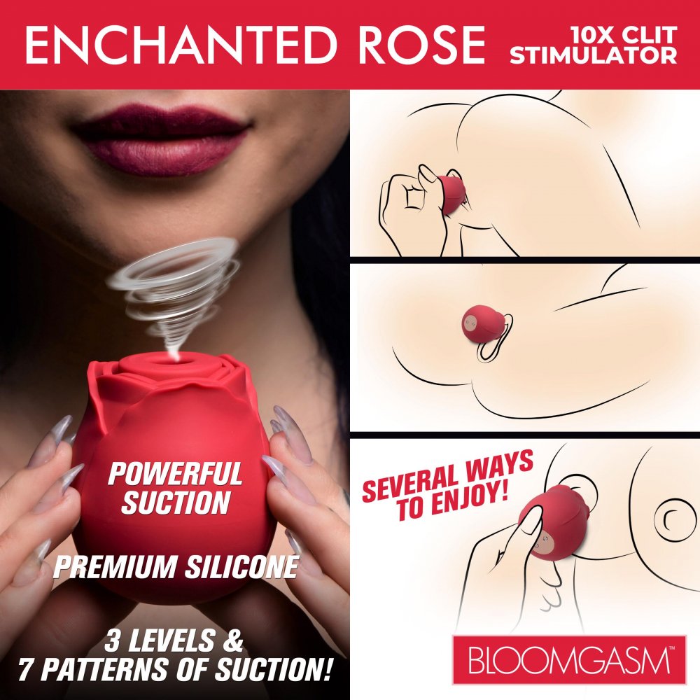 Enchanted Rose