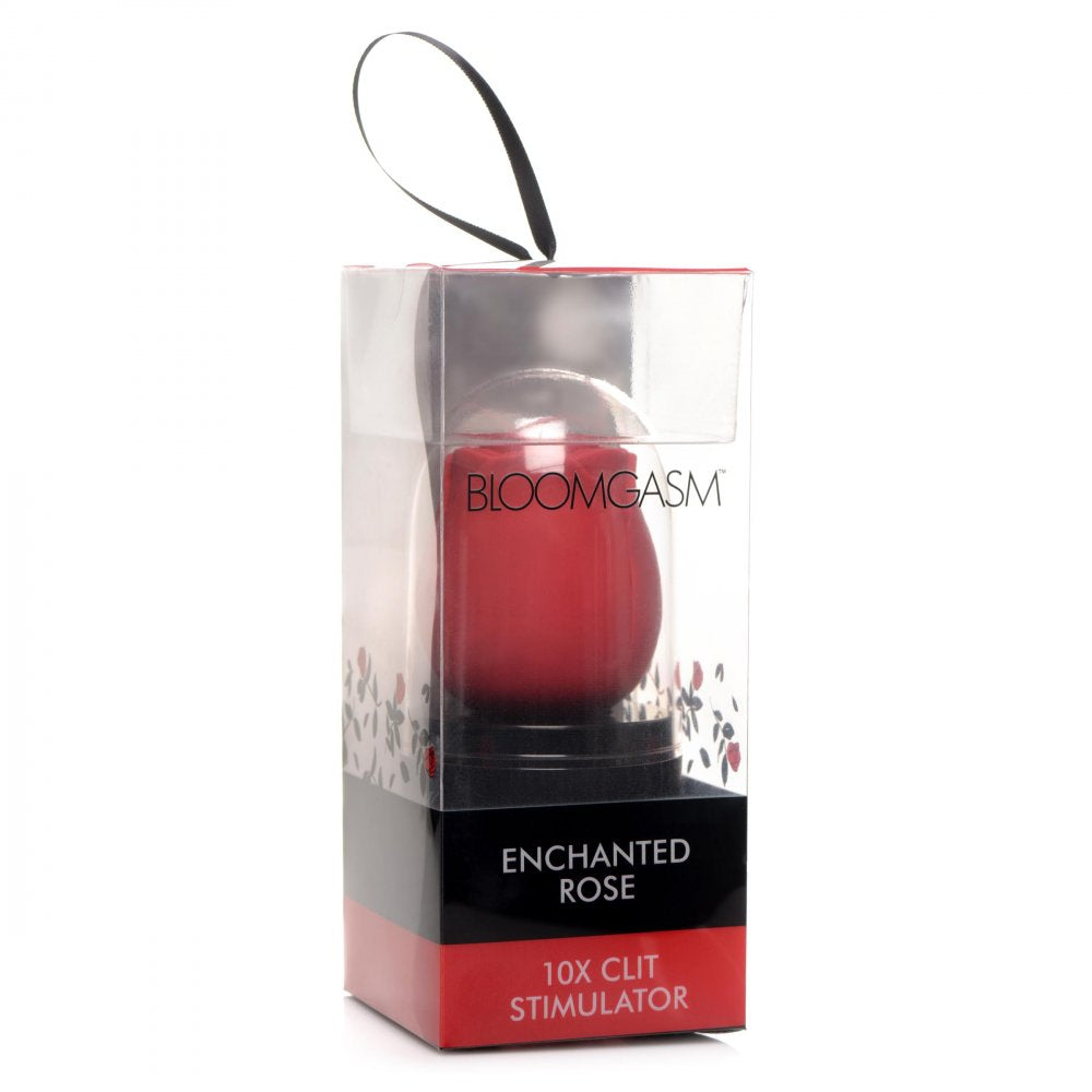 Enchanted Rose