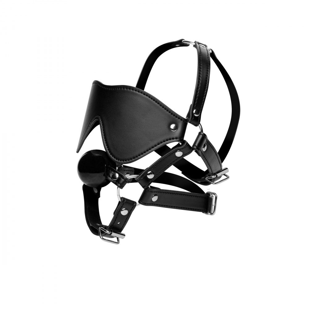 Blindfold Harness with Ball Gag