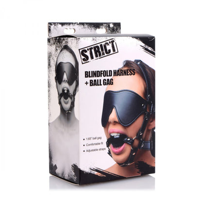 Blindfold Harness with Ball Gag