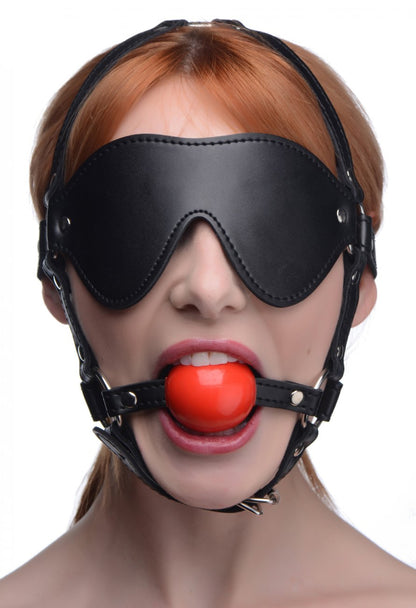 Blindfold Harness with Ball Gag