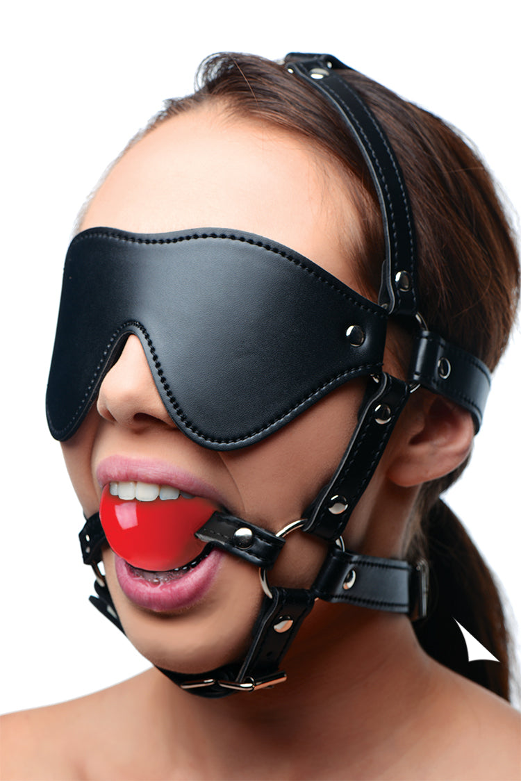 Blindfold Harness with Ball Gag