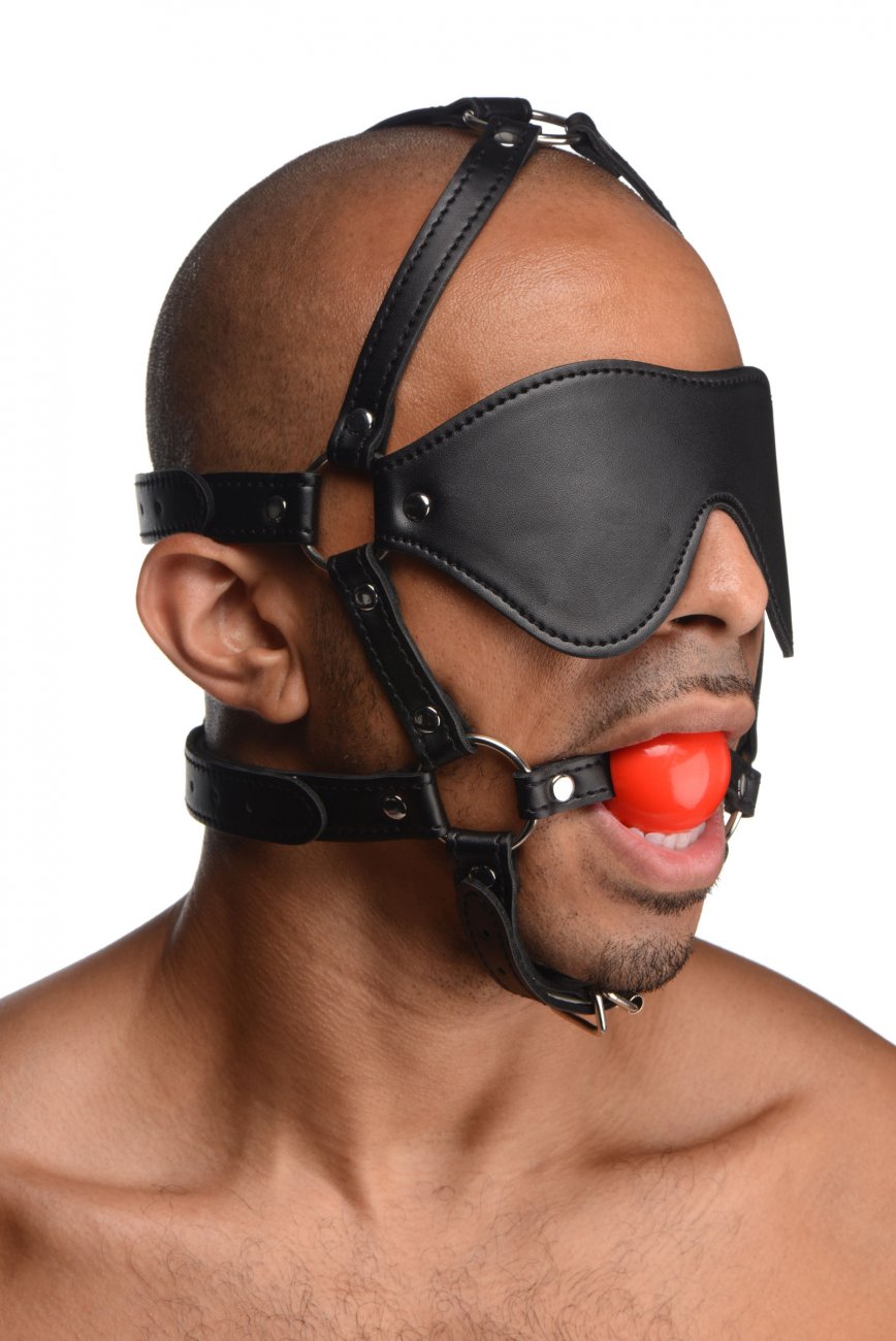 Blindfold Harness with Ball Gag