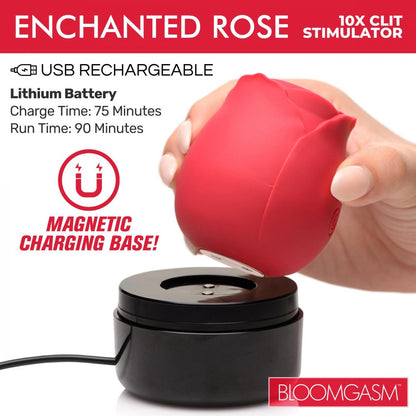 Enchanted Rose