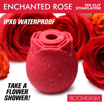 Enchanted Rose